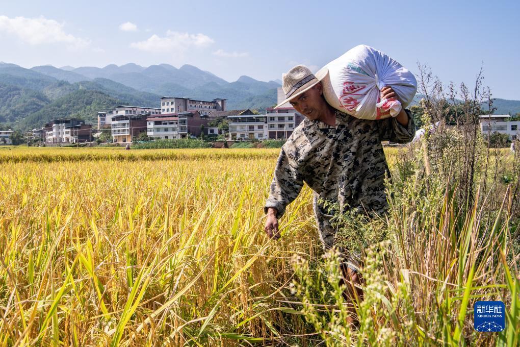 恒丰平台